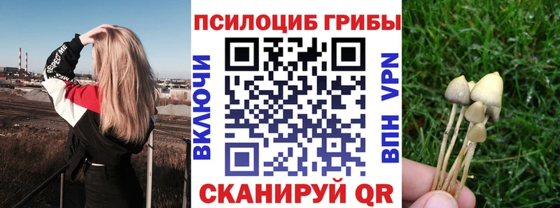 цены   Уржум  Псилоцибиновые грибы Psilocybe 